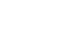 dark logo